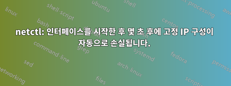 netctl: 인터페이스를 시작한 후 몇 초 후에 고정 IP 구성이 자동으로 손실됩니다.