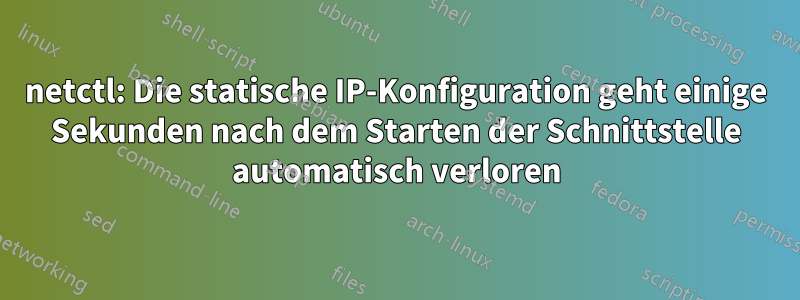 netctl: Die statische IP-Konfiguration geht einige Sekunden nach dem Starten der Schnittstelle automatisch verloren