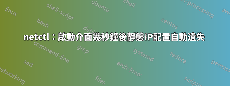 netctl：啟動介面幾秒鐘後靜態IP配置自動遺失