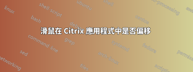 滑鼠在 Citrix 應用程式中是否偏移