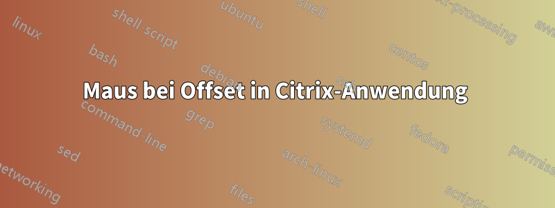 Maus bei Offset in Citrix-Anwendung