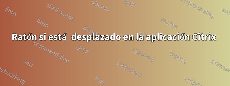 Ratón si está desplazado en la aplicación Citrix