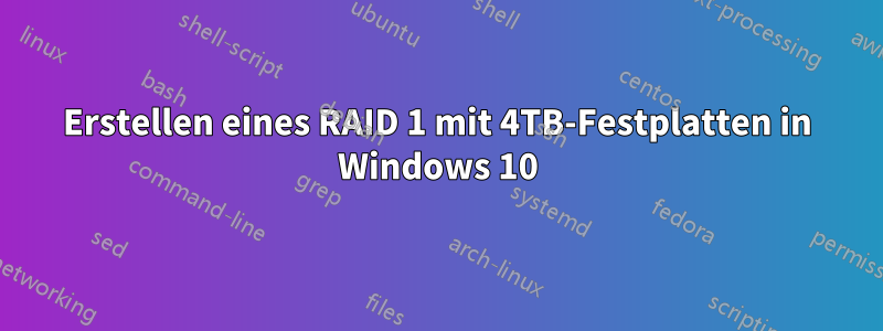 Erstellen eines RAID 1 mit 4TB-Festplatten in Windows 10