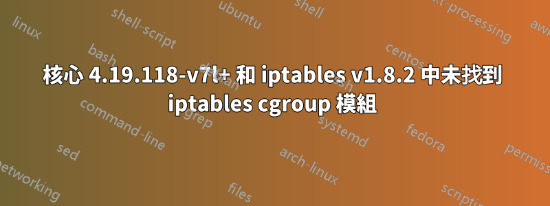 核心 4.19.118-v7l+ 和 iptables v1.8.2 中未找到 iptables cgroup 模組