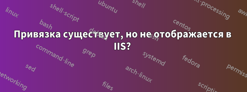 Привязка существует, но не отображается в IIS?