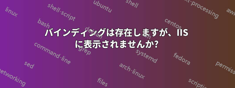 バインディングは存在しますが、IIS に表示されませんか?