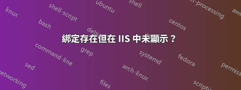 綁定存在但在 IIS 中未顯示？