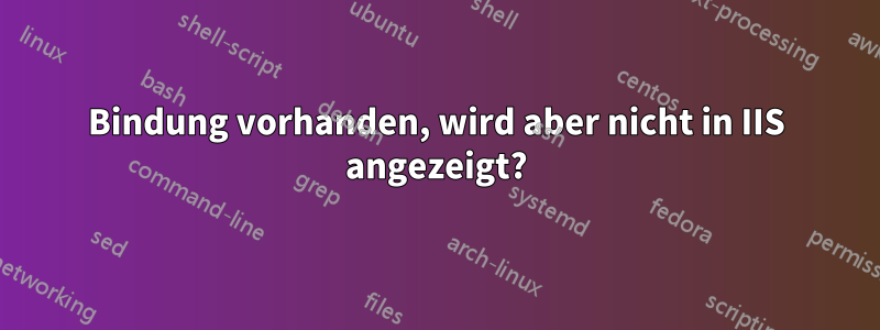 Bindung vorhanden, wird aber nicht in IIS angezeigt?