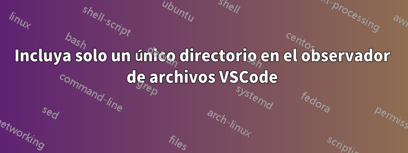 Incluya solo un único directorio en el observador de archivos VSCode