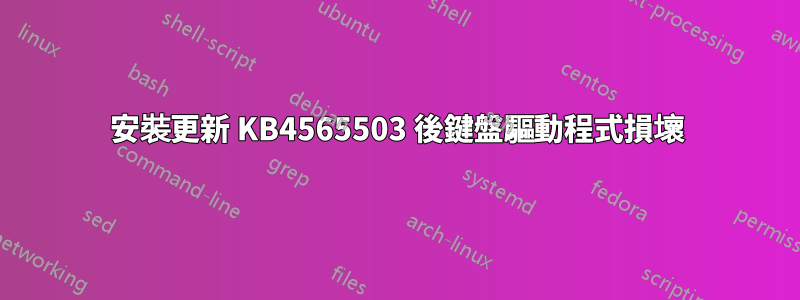 安裝更新 KB4565503 後鍵盤驅動程式損壞