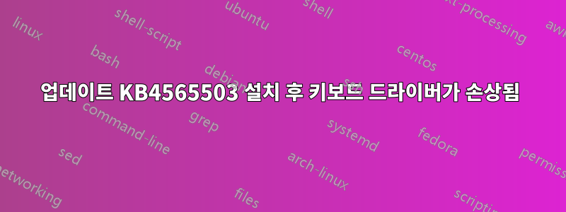 업데이트 KB4565503 설치 후 키보드 드라이버가 손상됨