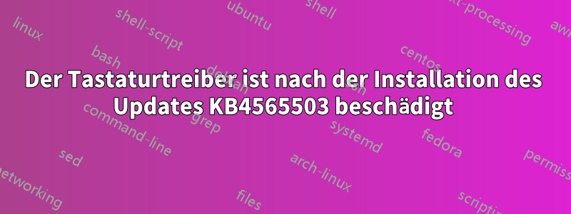 Der Tastaturtreiber ist nach der Installation des Updates KB4565503 beschädigt