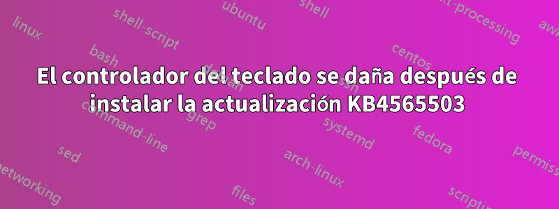 El controlador del teclado se daña después de instalar la actualización KB4565503