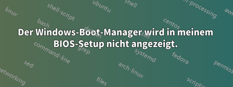 Der Windows-Boot-Manager wird in meinem BIOS-Setup nicht angezeigt.