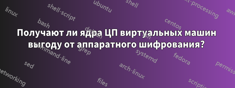 Получают ли ядра ЦП виртуальных машин выгоду от аппаратного шифрования?