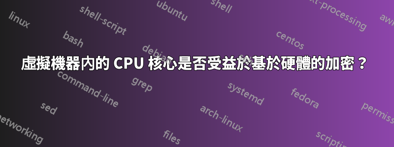 虛擬機器內的 CPU 核心是否受益於基於硬體的加密？