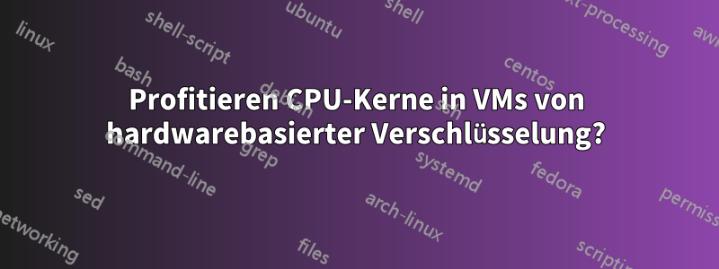 Profitieren CPU-Kerne in VMs von hardwarebasierter Verschlüsselung?