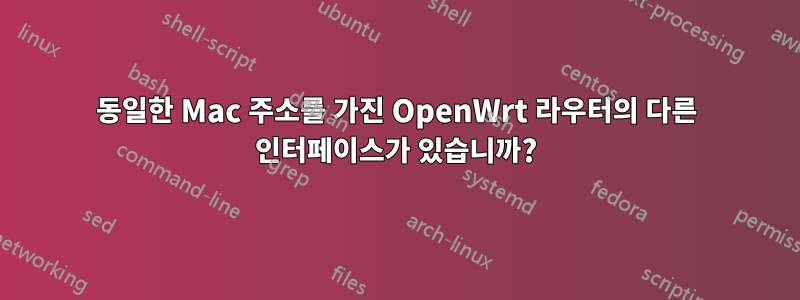 동일한 Mac 주소를 가진 OpenWrt 라우터의 다른 인터페이스가 있습니까?