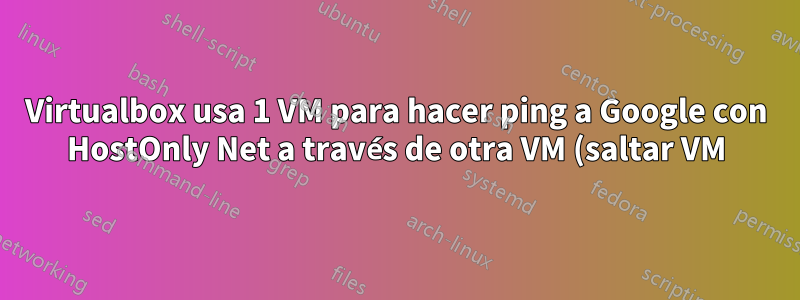 Virtualbox usa 1 VM para hacer ping a Google con HostOnly Net a través de otra VM (saltar VM)