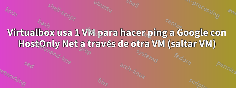 Virtualbox usa 1 VM para hacer ping a Google con HostOnly Net a través de otra VM (saltar VM)