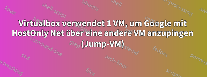 Virtualbox verwendet 1 VM, um Google mit HostOnly Net über eine andere VM anzupingen (Jump-VM)