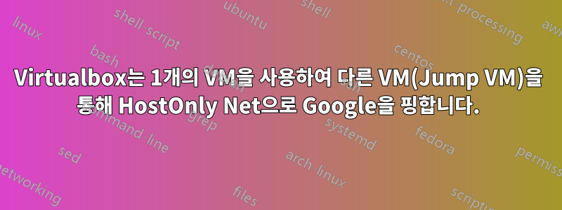 Virtualbox는 1개의 VM을 사용하여 다른 VM(Jump VM)을 통해 HostOnly Net으로 Google을 핑합니다.