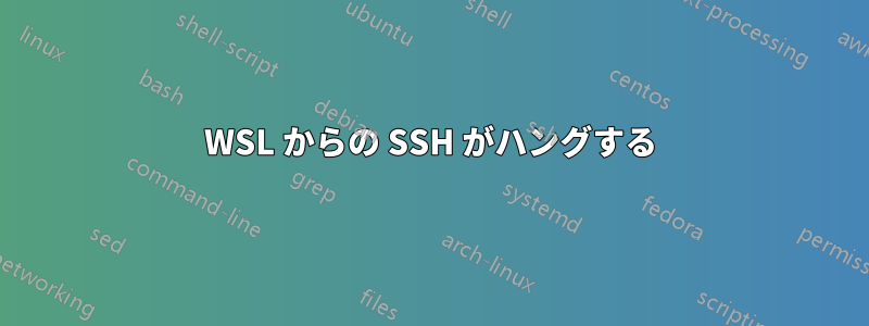 WSL からの SSH がハングする