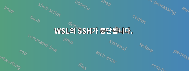 WSL의 SSH가 중단됩니다.