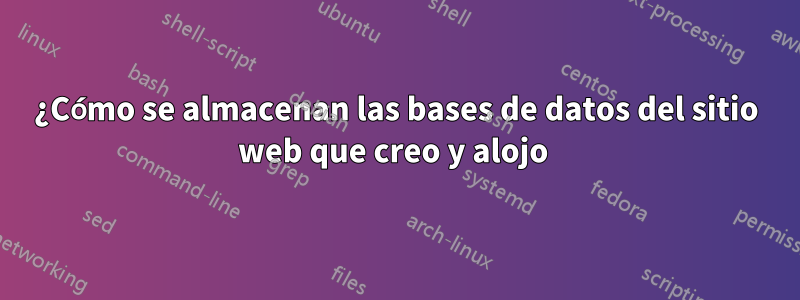 ¿Cómo se almacenan las bases de datos del sitio web que creo y alojo 