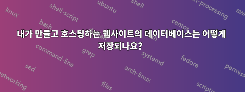 내가 만들고 호스팅하는 웹사이트의 데이터베이스는 어떻게 저장되나요? 