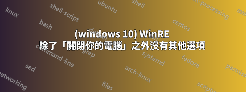 (windows 10) WinRE 除了「關閉你的電腦」之外沒有其他選項