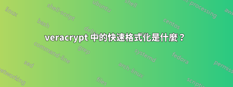 veracrypt 中的快速格式化是什麼？