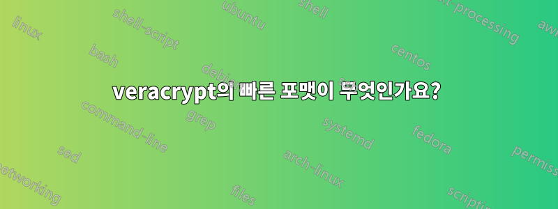 veracrypt의 빠른 포맷이 무엇인가요?