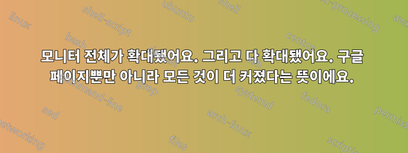 모니터 전체가 확대됐어요. 그리고 다 확대됐어요. 구글 페이지뿐만 아니라 모든 것이 더 커졌다는 뜻이에요.