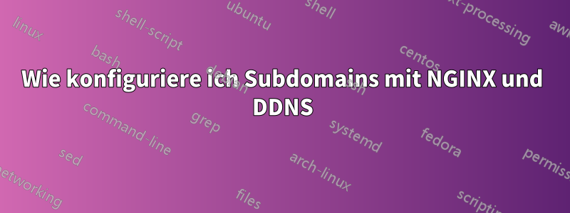 Wie konfiguriere ich Subdomains mit NGINX und DDNS