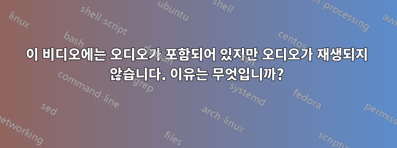 이 비디오에는 오디오가 포함되어 있지만 오디오가 재생되지 않습니다. 이유는 무엇입니까?