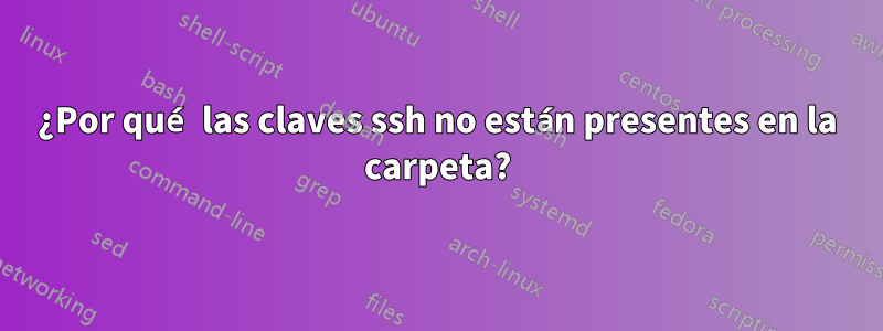 ¿Por qué las claves ssh no están presentes en la carpeta?