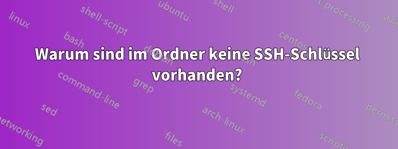 Warum sind im Ordner keine SSH-Schlüssel vorhanden?