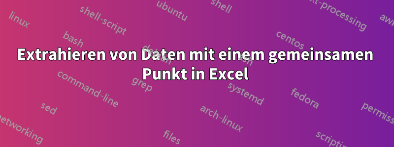 Extrahieren von Daten mit einem gemeinsamen Punkt in Excel