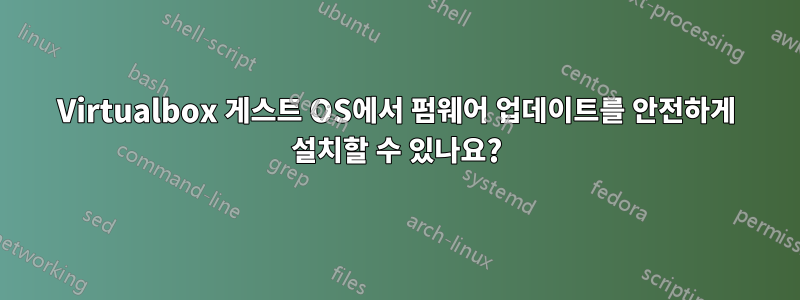 Virtualbox 게스트 OS에서 펌웨어 업데이트를 안전하게 설치할 수 있나요?