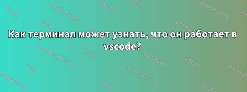 Как терминал может узнать, что он работает в vscode?