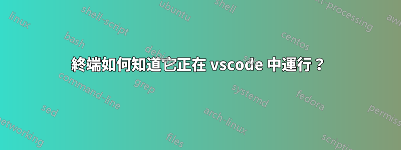 終端如何知道它正在 vscode 中運行？