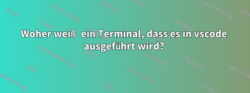 Woher weiß ein Terminal, dass es in vscode ausgeführt wird?