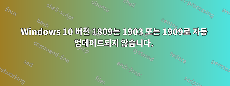 Windows 10 버전 1809는 1903 또는 1909로 자동 업데이트되지 않습니다.