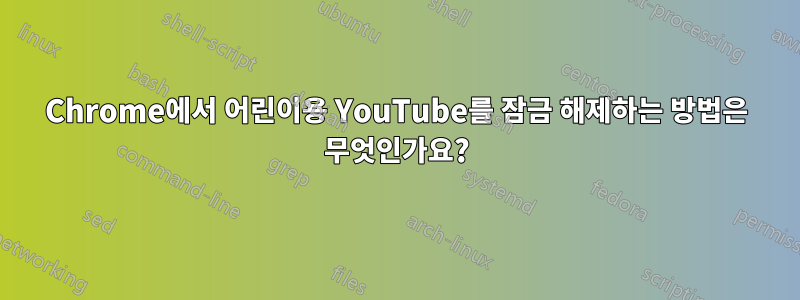 Chrome에서 어린이용 YouTube를 잠금 해제하는 방법은 무엇인가요?