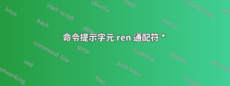 命令提示字元 ren 通配符 *