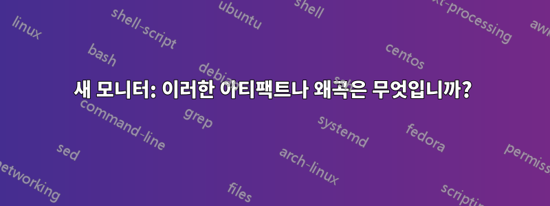 새 모니터: 이러한 아티팩트나 왜곡은 무엇입니까?