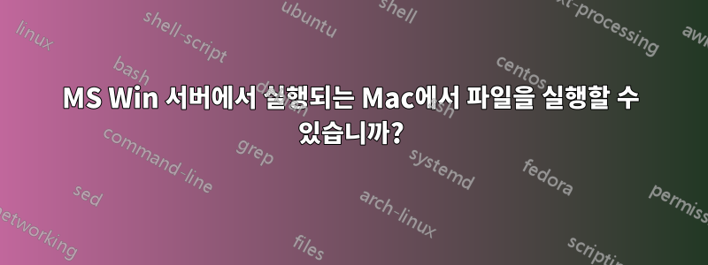 MS Win 서버에서 실행되는 Mac에서 파일을 실행할 수 있습니까?