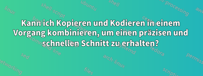 Kann ich Kopieren und Kodieren in einem Vorgang kombinieren, um einen präzisen und schnellen Schnitt zu erhalten?