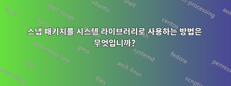 스냅 패키지를 시스템 라이브러리로 사용하는 방법은 무엇입니까?